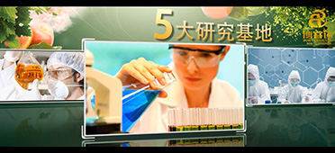 2015博睿达五大品牌
